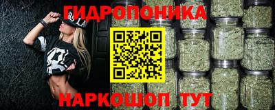 стафф Белореченск