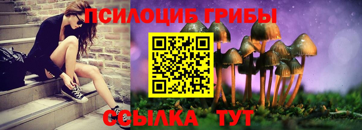 Псилоцибиновые грибы Magic Shrooms  Вход с VPN  Кинель 